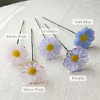 September Birth Flower – Aster