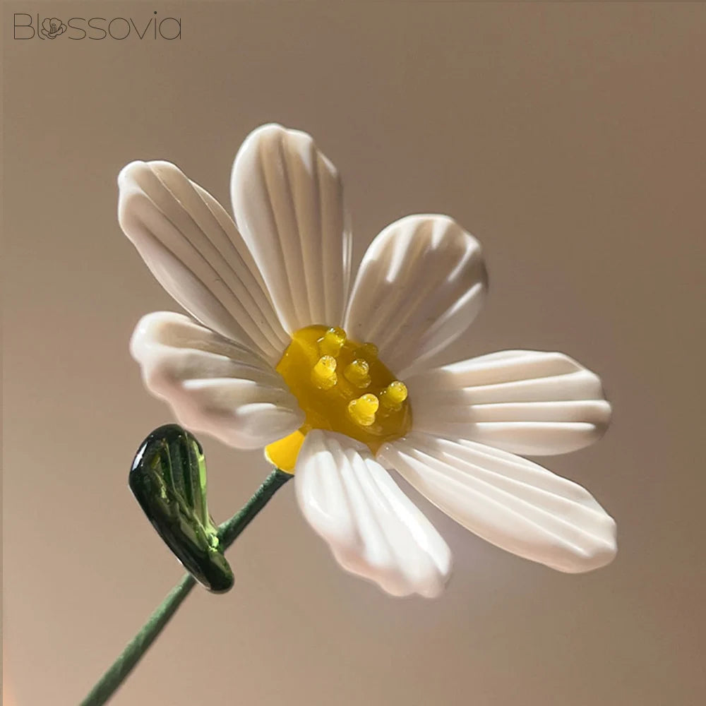 April Birth Flower – Daisy