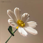 April Birth Flower – Daisy