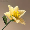 March Birth Flower – Daffodil