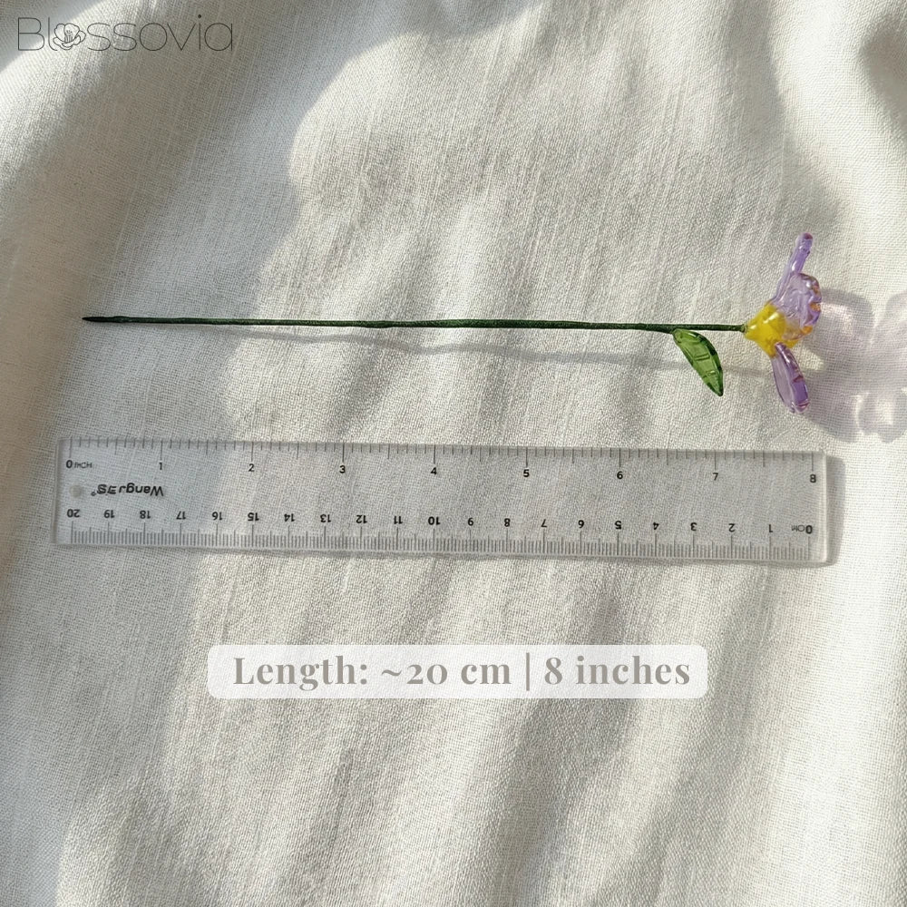 February Birth Flower – Violet