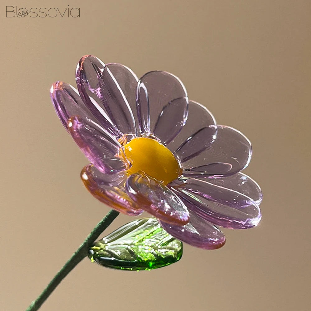 September Birth Flower – Aster