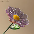 September Birth Flower – Aster