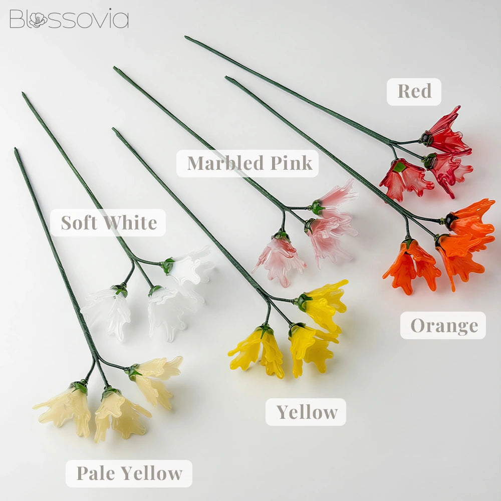 August Birth Flower – Gladiolus
