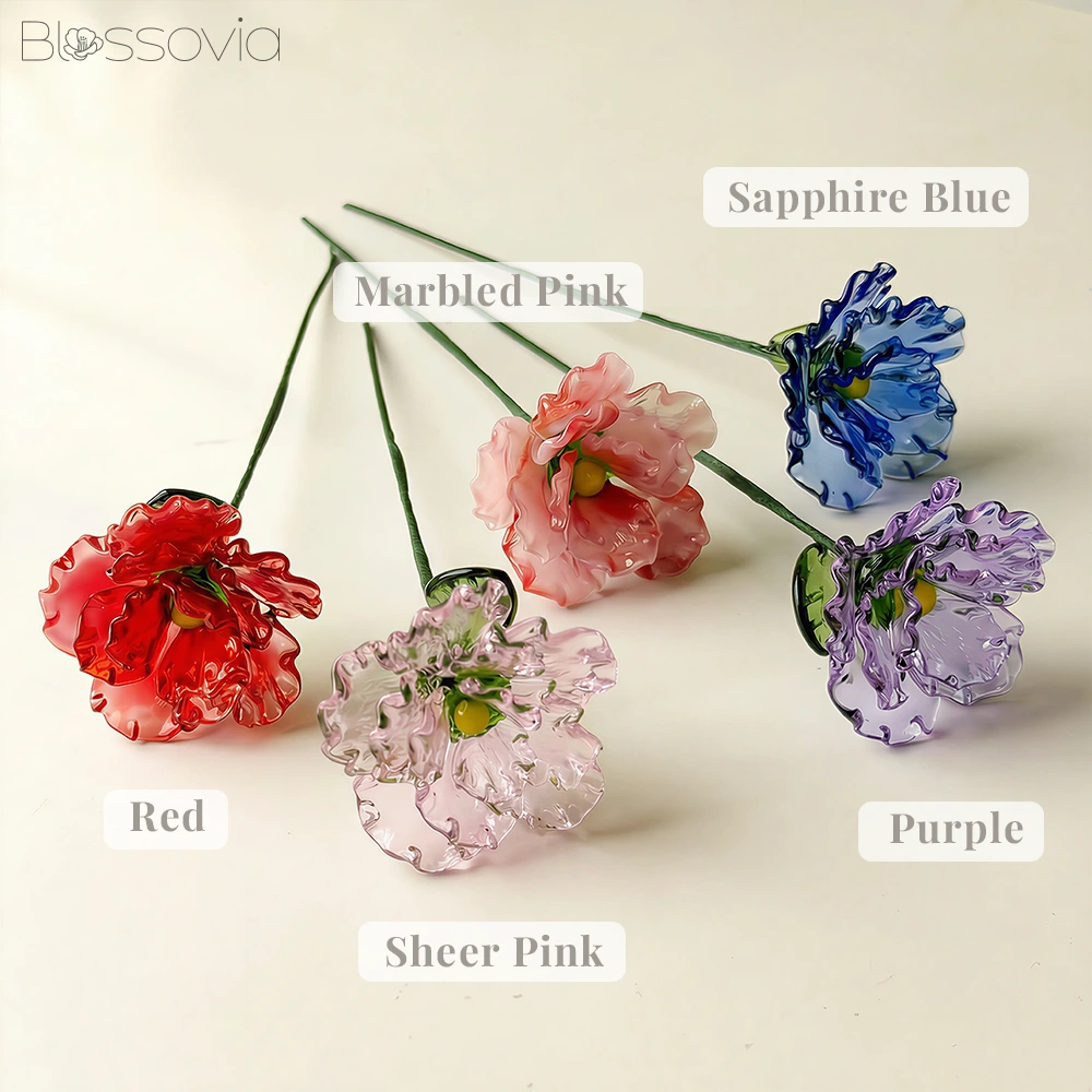 January Birth Flower – Carnation