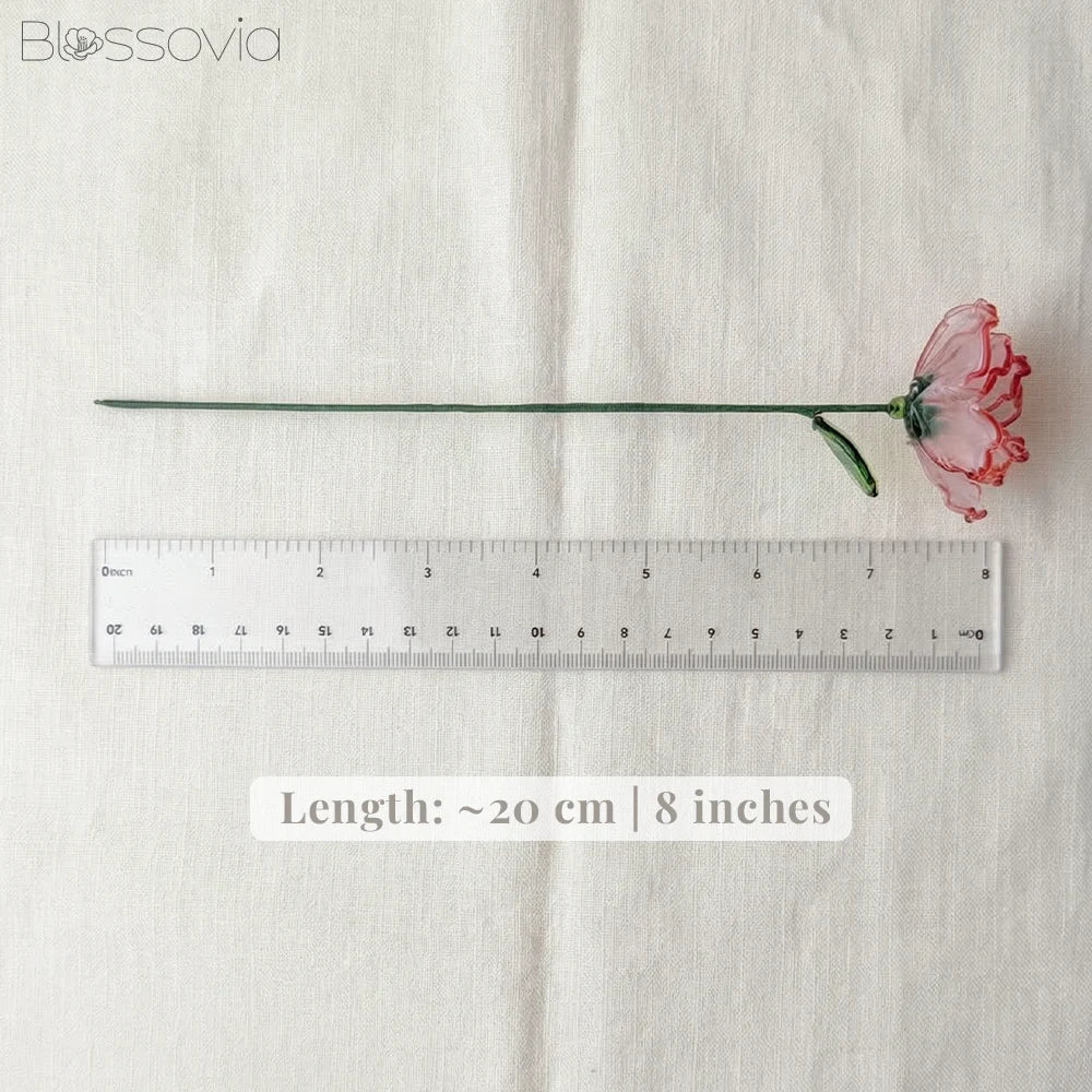 January Birth Flower – Carnation