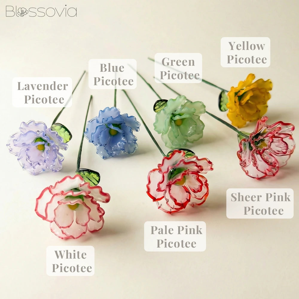January Birth Flower – Carnation