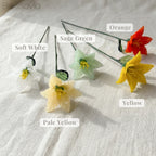 March Birth Flower – Daffodil