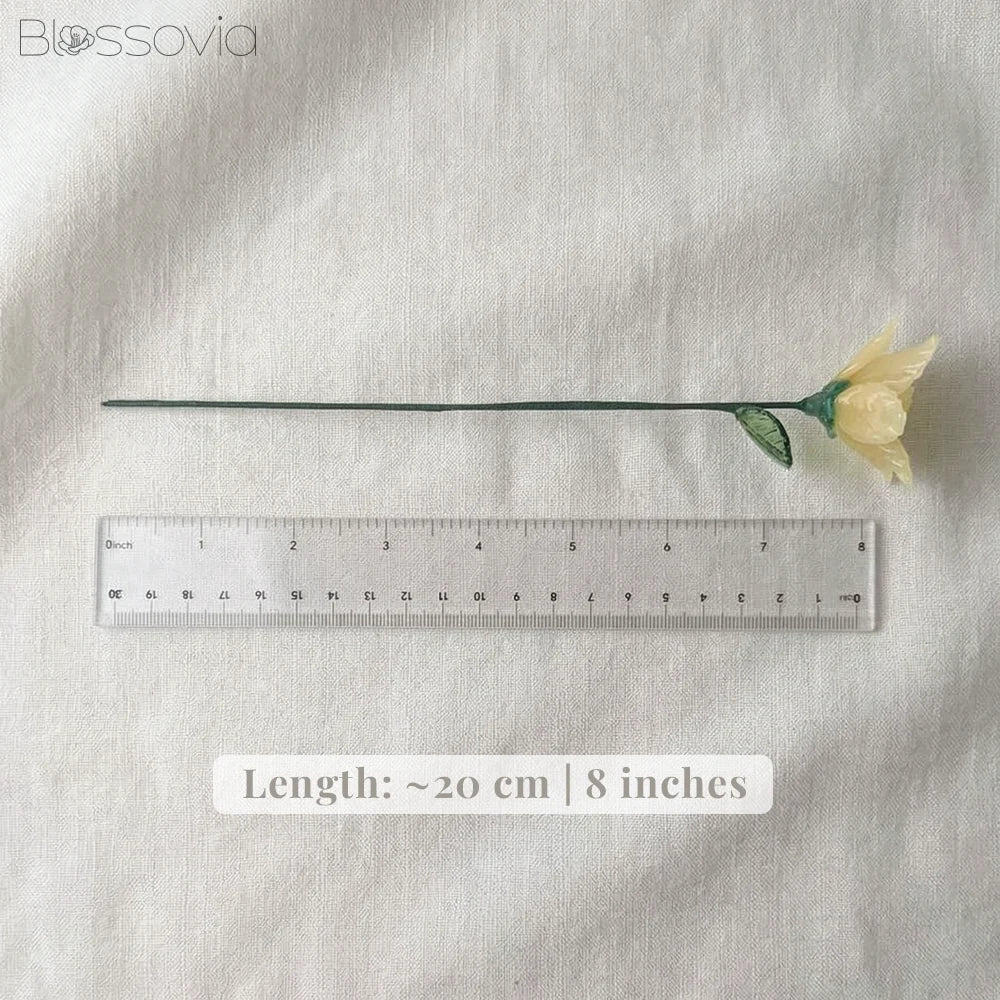 March Birth Flower – Daffodil