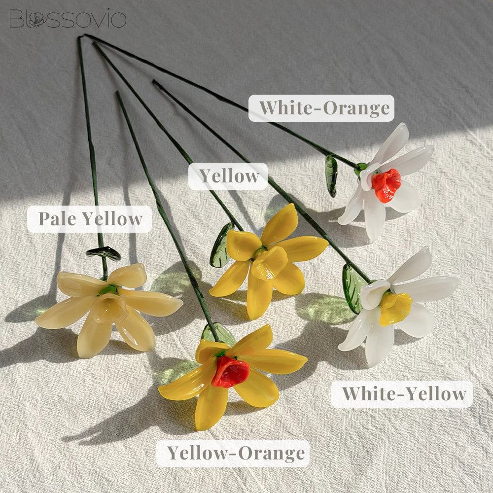 March Birth Flower – Jouquil