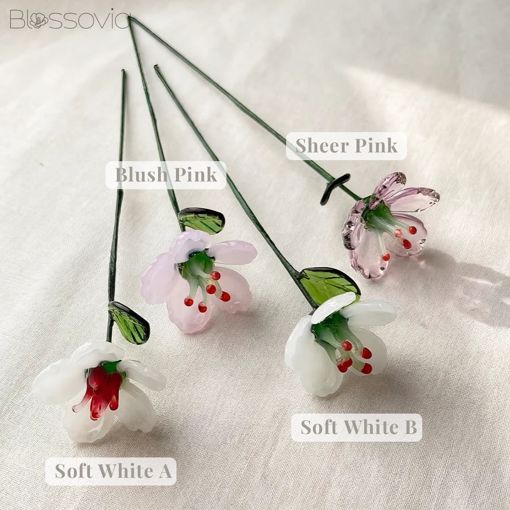 May Birth Flower – Hawthorn