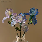 February Birth Flower – Iris