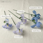 February Birth Flower – Iris