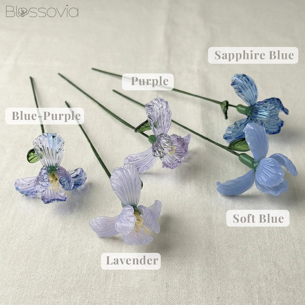 February Birth Flower – Iris