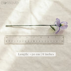 February Birth Flower – Iris