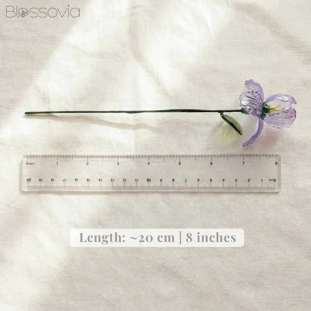February Birth Flower – Iris
