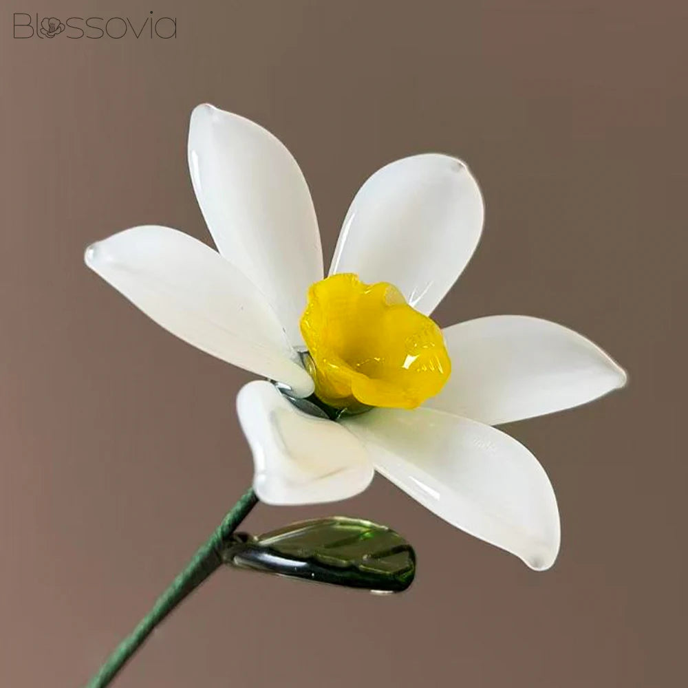 March Birth Flower – Jouquil