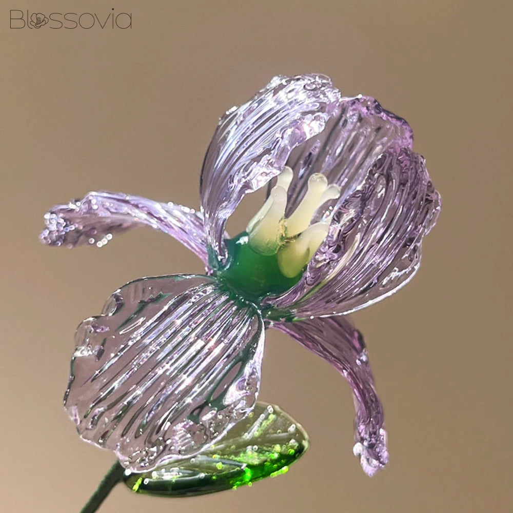 February Birth Flower – Iris