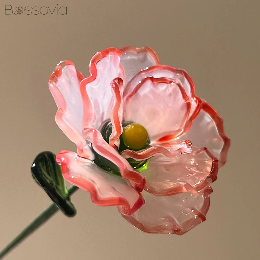 January Birth Flower – Carnation