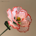 January Birth Flower – Carnation