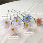 October Birth Flower – Cosmos
