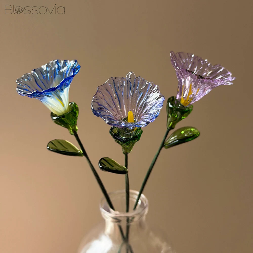 September Birth Flower – Morning Glory