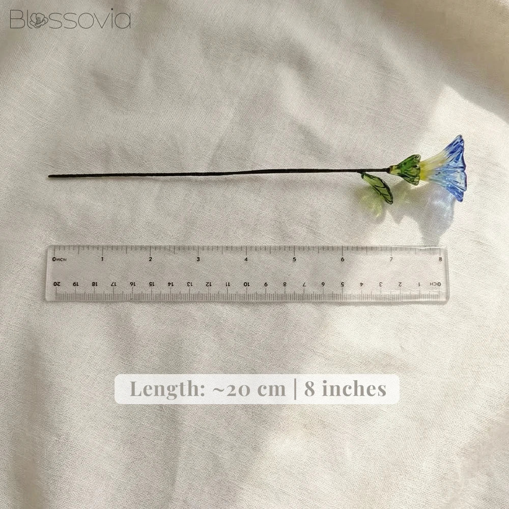September Birth Flower – Morning Glory
