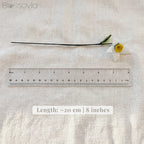 December Birth Flower – Narcissus