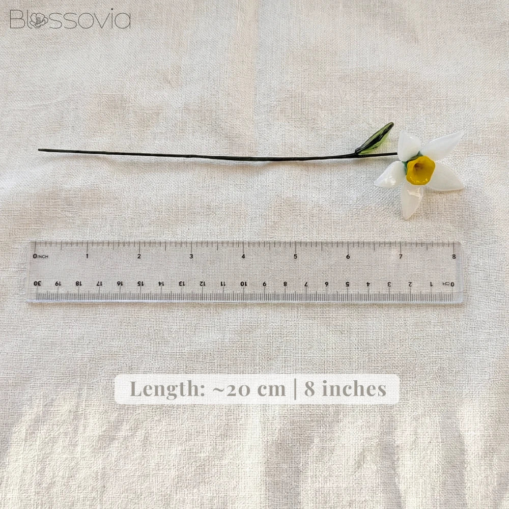 December Birth Flower – Narcissus