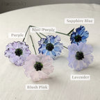 August Birth Flower – Poppy