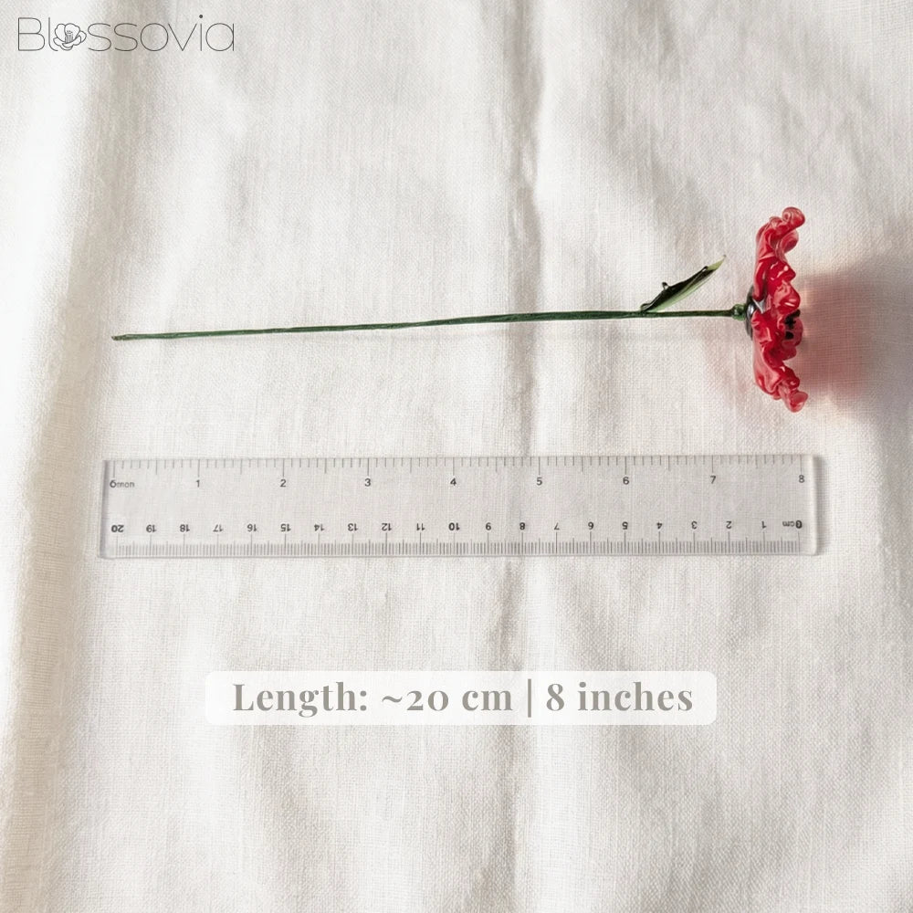 August Birth Flower – Poppy