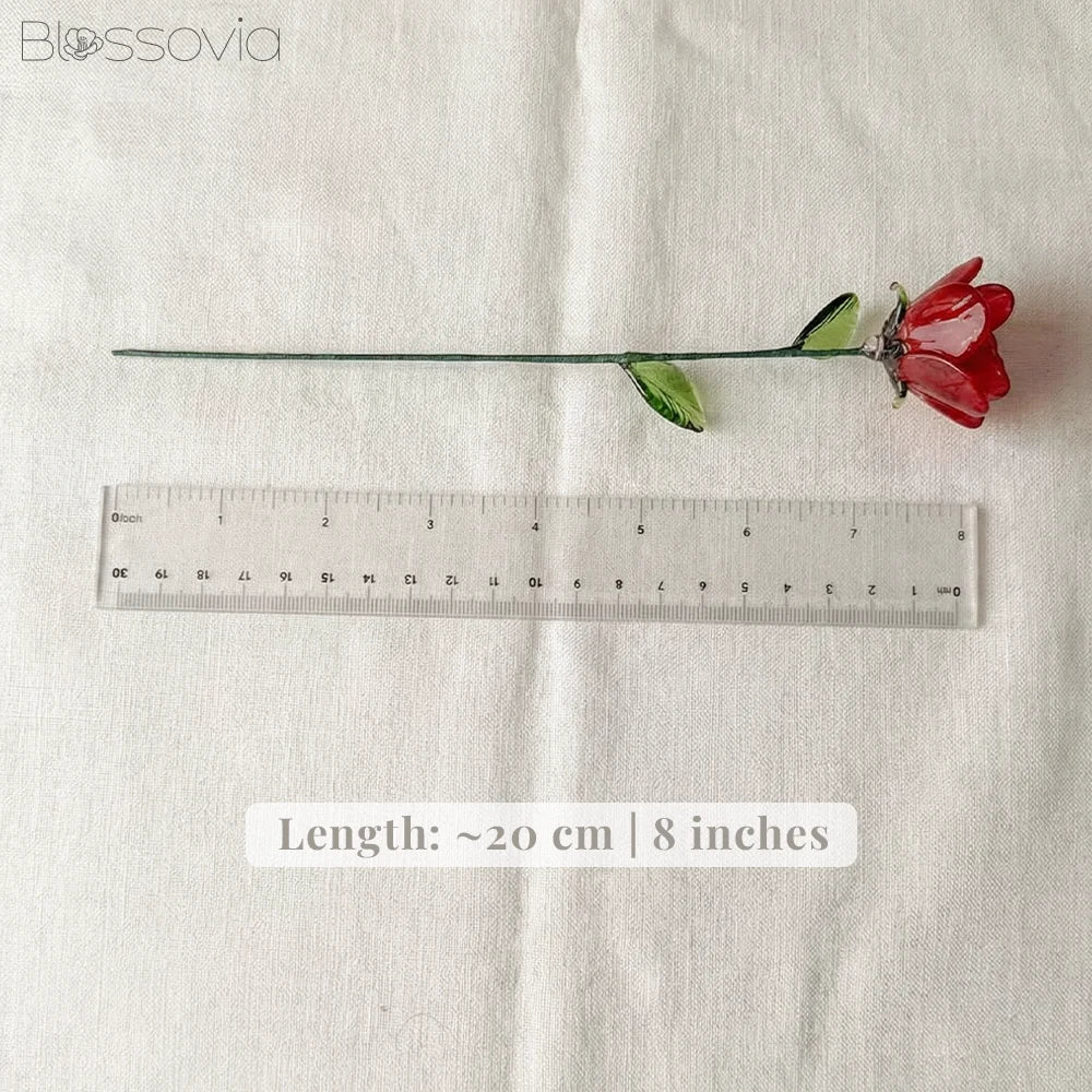 June Birth Flower – Rose