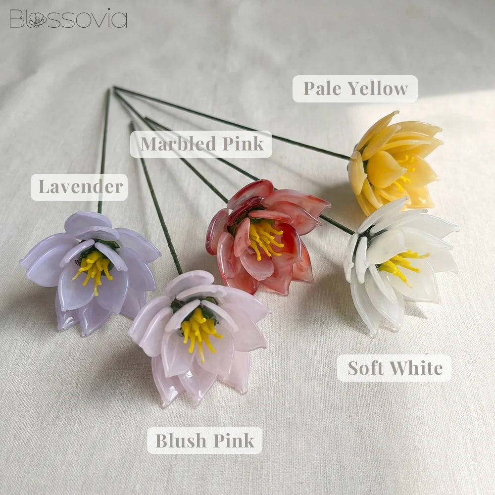 July Birth Flower – Water Lily