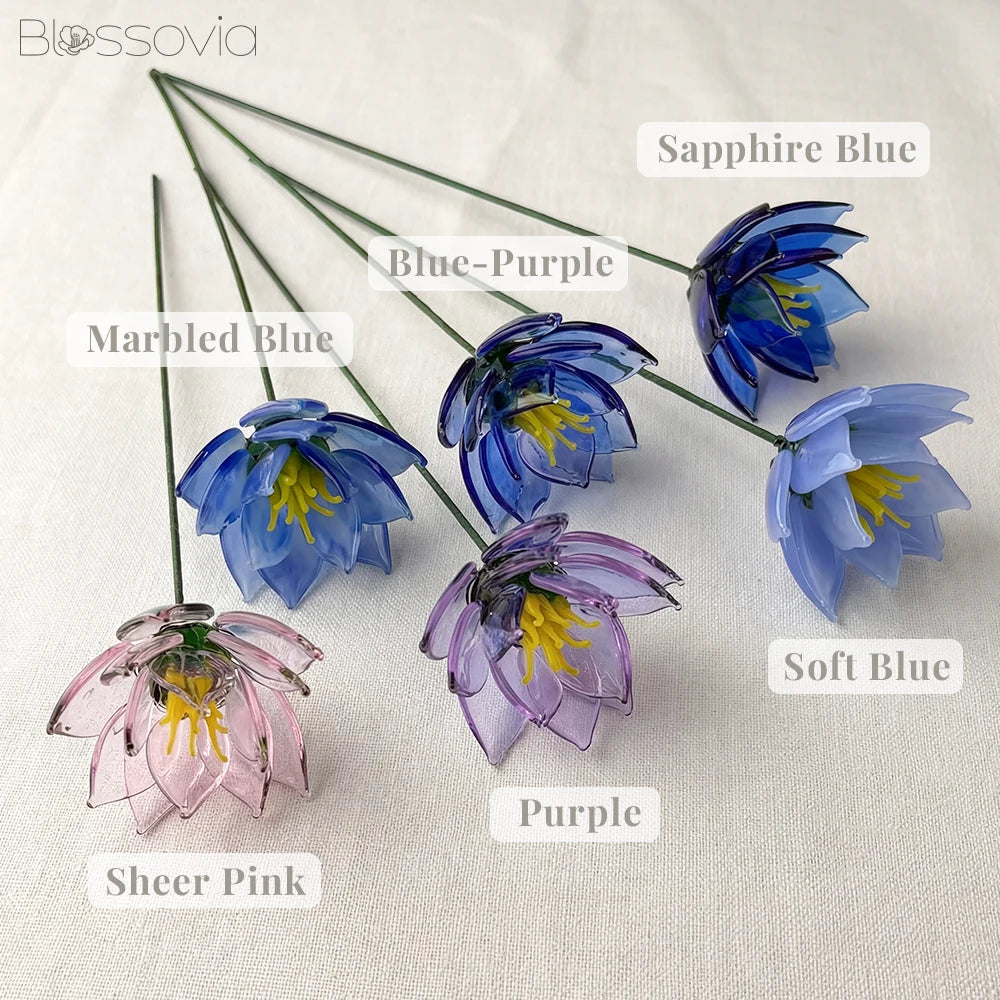 July Birth Flower – Water Lily