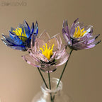 July Birth Flower – Water Lily