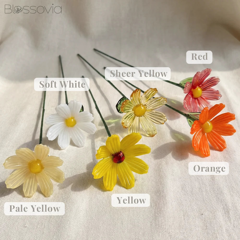 October Birth Flower – Cosmos