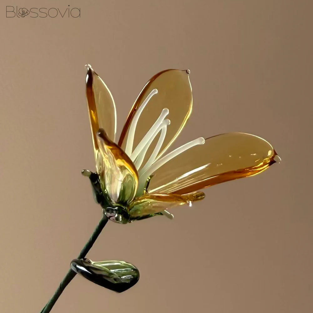 June Birth Flower – Honeysuckle