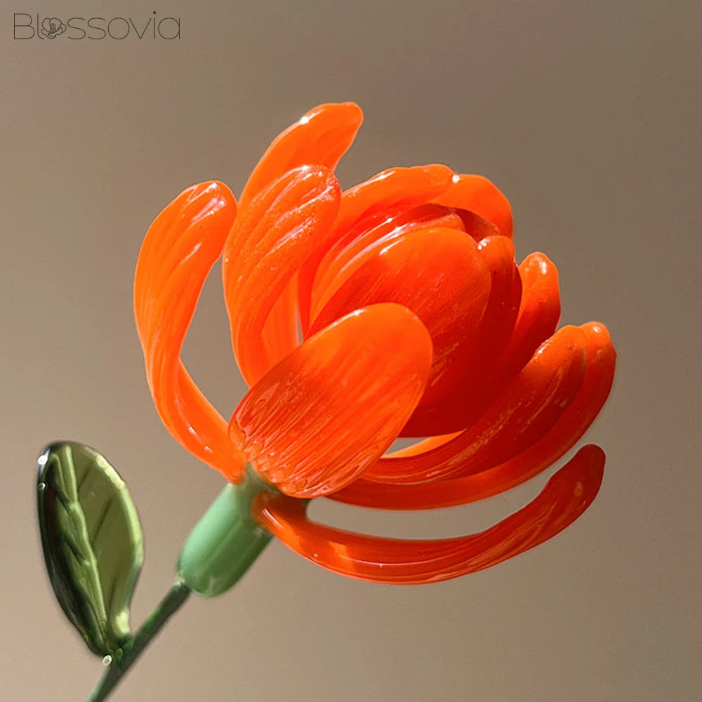 October Birth Flower – Marigold