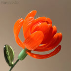 October Birth Flower – Marigold