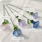 September Birth Flower – Morning Glory