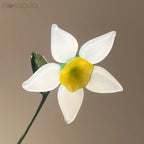 December Birth Flower – Narcissus