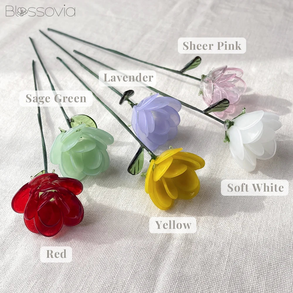 June Birth Flower – Rose