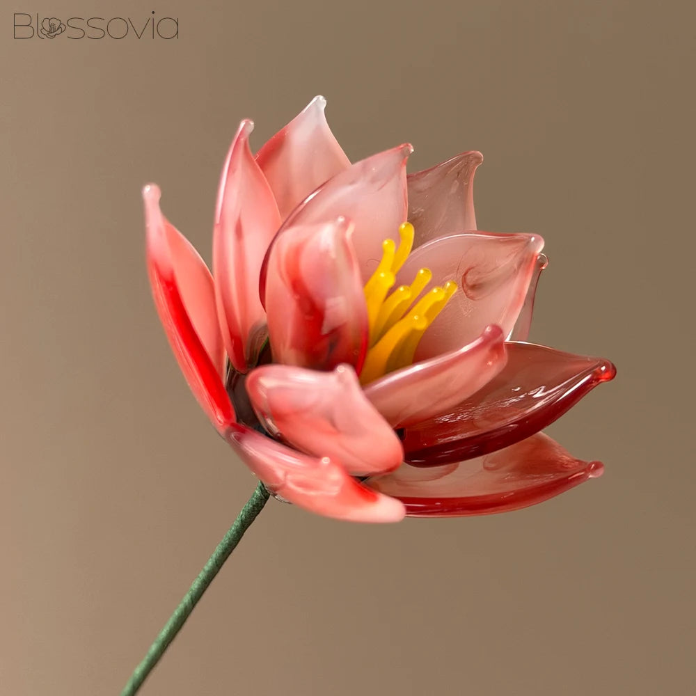 July Birth Flower – Water Lily