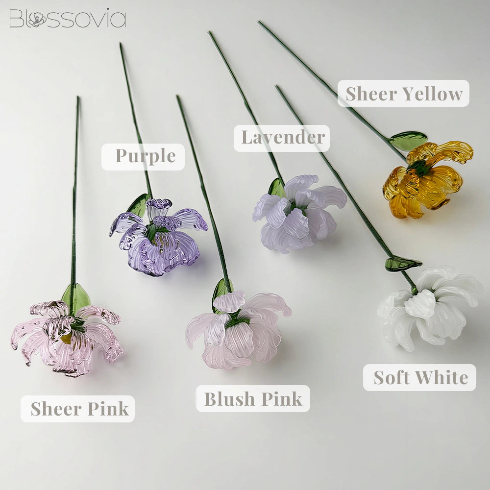 January Birth Flower – New Carnation