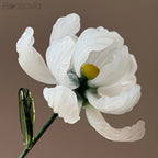 January Birth Flower – New Carnation
