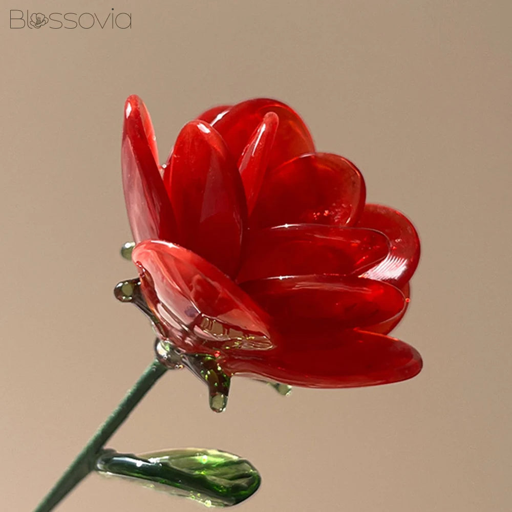 June Birth Flower – Rose