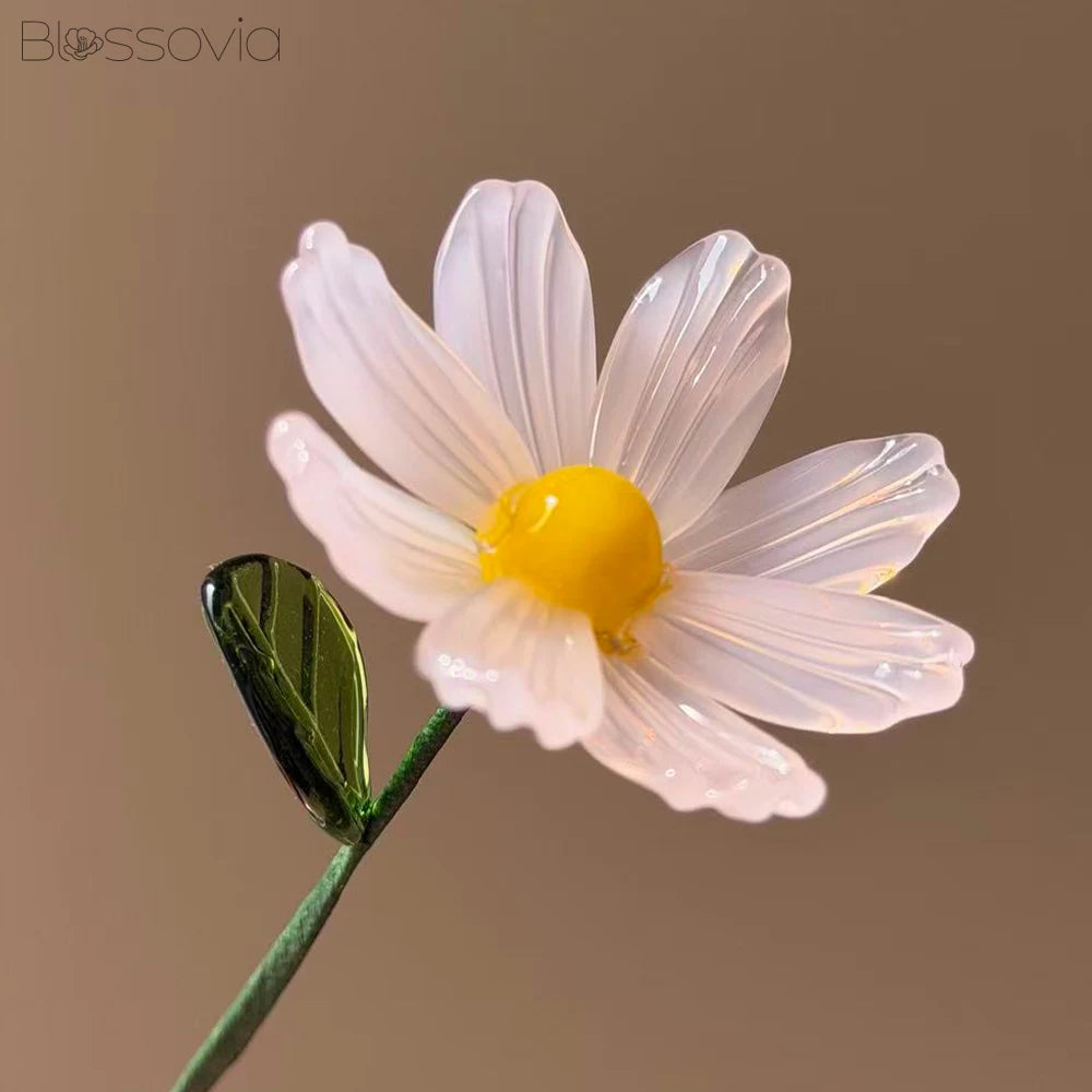 October Birth Flower – Cosmos