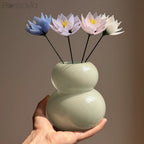 July Birth Flower – Water Lily