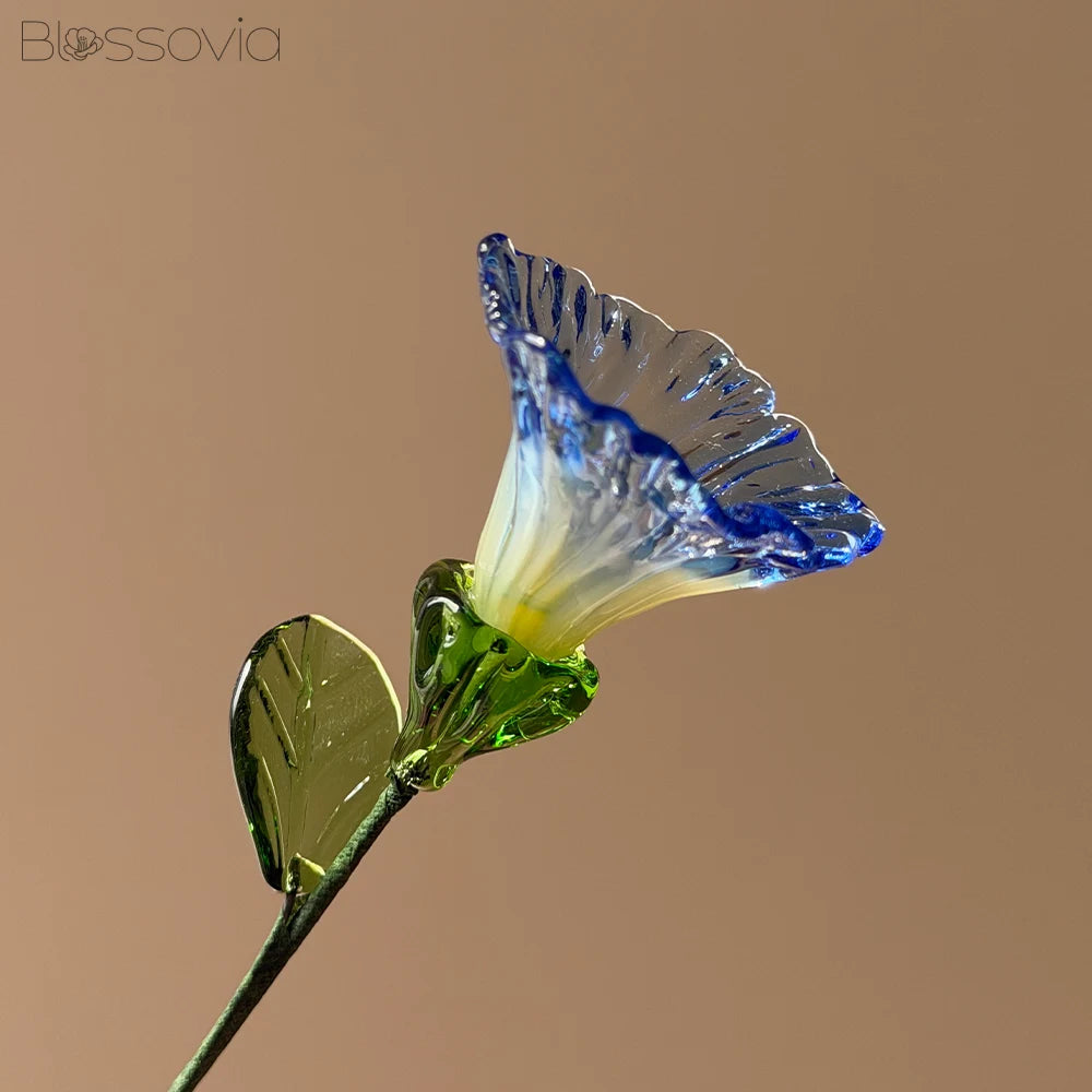 September Birth Flower – Morning Glory