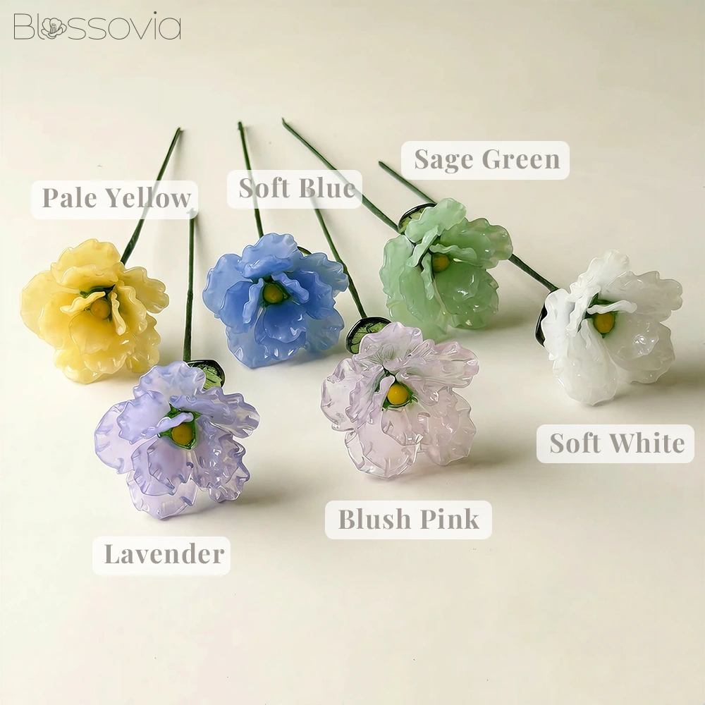 January Birth Flower – Carnation